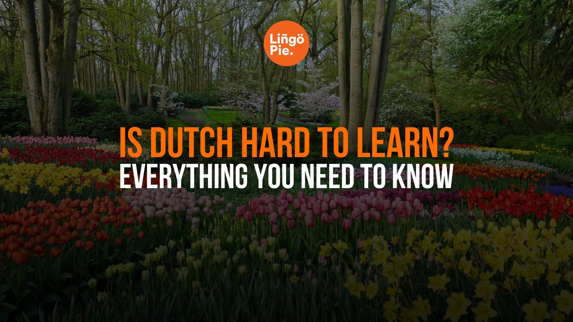 Is Dutch Hard to Learn? A Complete Beginner's Guide [2026]