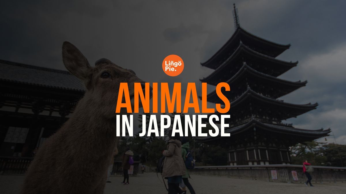 Animals In Japanese: 20+ Useful Japanese Words